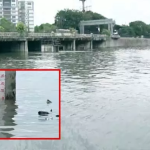 Hyderabad:ప్రమాద ఘంటికలు మోగిస్తున్న హుస్సేన్ సాగర్