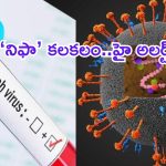 Nipah Virus: మళ్లీ వణికిస్తున్న నిఫా వైరస్.. కేరళలో 14 ఏళ్ల బాలుడికి పాజిటివ్