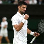 Novak Djokovic : పదోసారి వింబుల్డన్ ఫైనల్లోకి నోవాక్ జకోవిచ్!.. టైటిల్ కోసం కార్లోస్ అల్కరాజ్ తో ఢీ