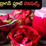 Dragon Fruit Benefits: డ్రాగన్ ఫ్రూట్‌ ప్రయోజనాలు తెలిస్తే.. అస్సలు వదిలిపెట్టరు !