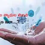 Waterborne Diseases: వర్షాకాల వ్యాధుల బారిన పడకుండా తీసుకోవాల్సిన జాగ్రత్తలివే..!