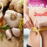 Weight Loss: వెల్లుల్లితో ఈజీగా వెయిట్ లాస్.. ఎలానో తెలుసా ?