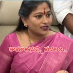 Home Minister Anitha : అత్యాచార నిందితుల్ని వదలం.. బాధితుల కుటుంబాలకు పరిహారం : హోంమంత్రి అనిత