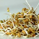 Fenugreek Seeds: మొలకెత్తిన మెంతులతోను ఎన్ని లాభాలు ఉంటాయో తెలిస్తే షాక్ అవుతారు..