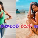 Anoosha Krishna: తండ్రి వయసున్న నిర్మాత .. ఛాన్స్ ఇస్తా వస్తావా అని అడిగాడు