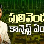 Pulivendula Politics : టార్గెట్ పులివెందుల.. సీఎం చంద్రబాబు వ్యూహం అదేనా ?
