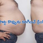 Belly Fat : బానపొట్టతో ఇబ్బందులా.. ఈ డ్రింక్ తాగి వ్యాయామం చేస్తే ఇట్టే తగ్గిపోతుంది