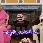 Chandrababu with Nirmala : రాష్ట్రాన్ని ఆదుకోండి.. నిర్మలమ్మకు చంద్రబాబు వినతి