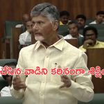 White Paper on Ap Liquor: మద్యం కుంభకోణం జరిగింది.. CBCID ఆధ్వర్యంలో ఎంక్వైరీకి సీఎం ఆదేశం