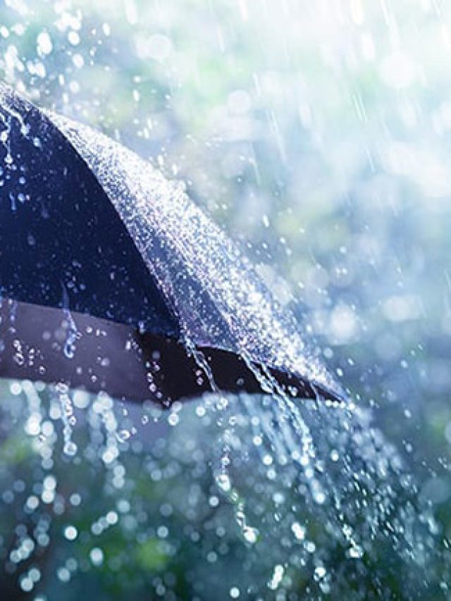 fruits to strengthen immunity in monsoon season