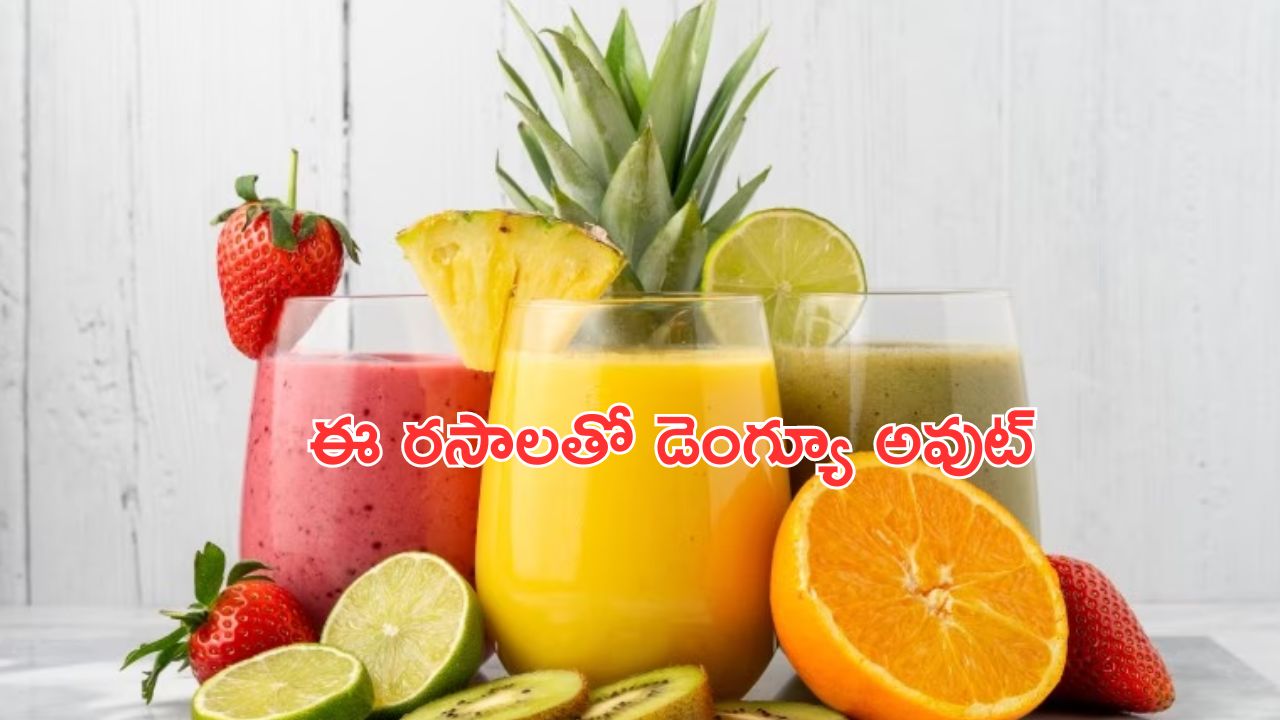 Heart Stroke Causes: వానాకాలంలో హార్ట్ స్ట్రోక్ ప్రమాదం ఎక్కువ.. ఎందుకో తెలిస్తే షాక్ అవుతారు.