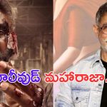 Maharaja: హిందీలో మహారాజా.. ఆ హీరోతో వర్క్ అవుట్ అవుతుందా.. ?