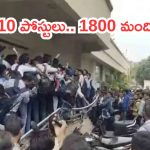 Gujarat Job Interview Video Viral: 10 ఉద్యోగాలకు 1800మంది..తొక్కిసలాట వీడియో వైరల్
