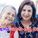 Farah Khan: బాలీవుడ్ డైరెక్టర్ ఫరా ఖాన్ ఇంట తీవ్ర విషాదం..