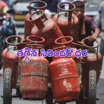 LPG Cylinder Price : వినియోగదారులకు శుభవార్త.. తగ్గిన గ్యాస్ సిలిండర్ ధర.. ఎంతో తెలుసా ?