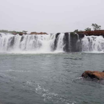 Bogata Waterfalls: ఉప్పొంగి ప్రవహిస్తూ, పర్యాటకులకు కనువిందు చేస్తోన్న బోగత జలపాతం