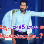 Nirupam Paritala: డాక్టర్ బాబు.. కార్తీక దీపం సీరియల్ కు ఎంత తీసుకుంటున్నాడో తెలుసా.. ?