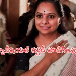 Kavitha Judicial Custody : తీహార్ జైలుకే కవిత పరిమితం.. 25 వరకూ జ్యుడీషియల్ కస్టడీ పొడిగింపు