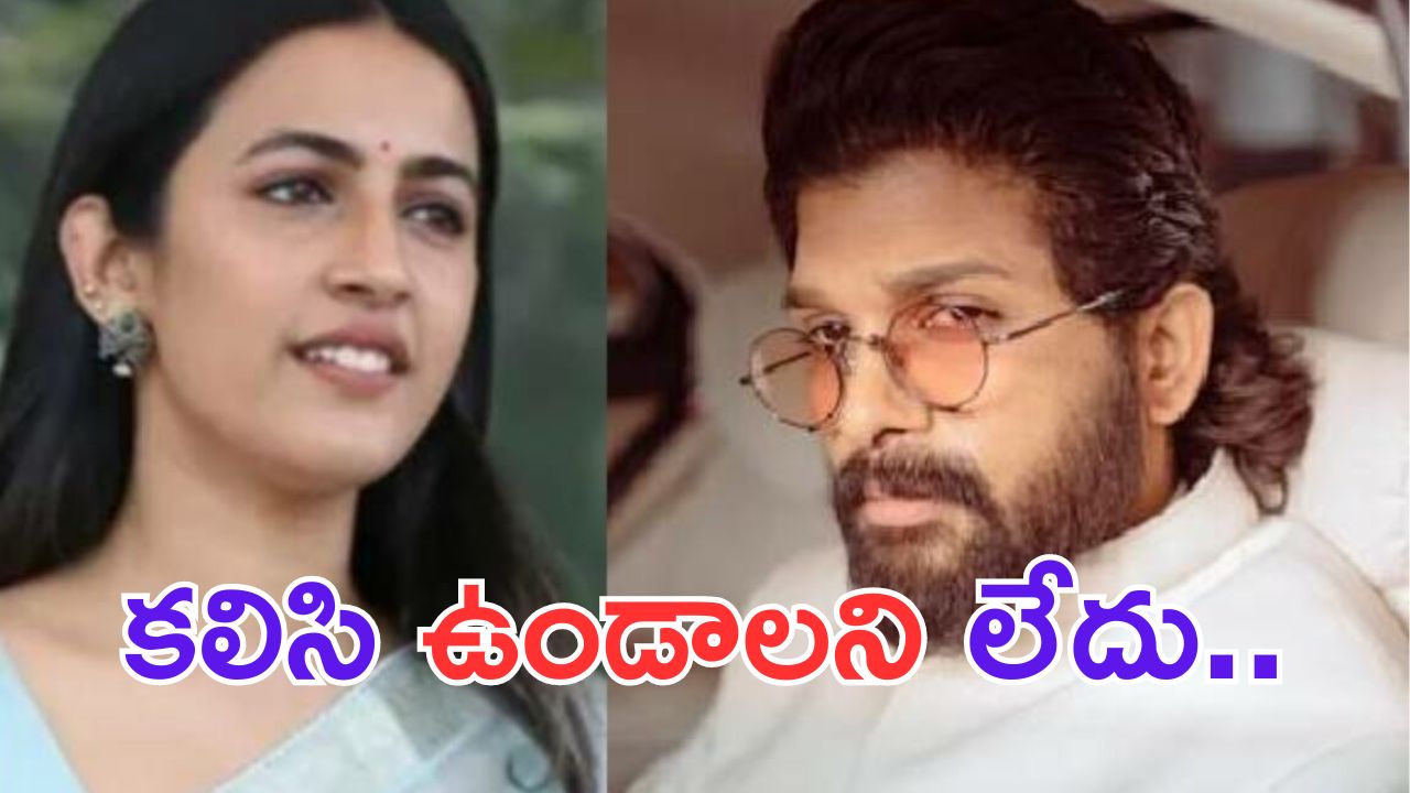 Niharika Konidela: మెగా- అల్లు కుటుంబాల మధ్య వివాదం.. నిహారిక ఏమన్నదంటే..?