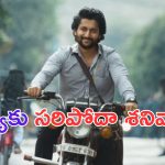 Saripodhaa Sanivaaram: ఆదివారం నుంచి శుక్రవారం వరకు వైలెన్స్ కు ఇన్సూరెన్స్