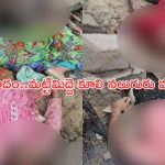 NagarKurnool Roof Collapse: తెలంగాణలో ఘోర విషాదం.. భారీ వర్షానికి ఇంటి మిద్దె కూలి ఒకే కుటుంబంలో నలుగురు మృతి