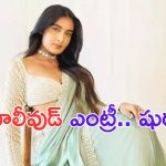Niharika NM: టాలీవుడ్ ఎంట్రీ ఇస్తున్న సోషల్ మీడియా సెన్సేషన్.. ఏకంగా గీతా ఆర్ట్స్ లోనే