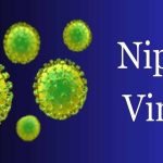 Nipah Virus: గుండెపోటుతో టీనేజ్ బాలుడి మృతి.. నిపా వైరస్ చికిత్స తీసుకుంటుండుగా ఘటన