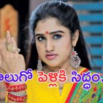 Vanitha Vijaykumar: తోడు కావాలి.. నాలుగో పెళ్ళికి రెడీ అయిన స్టార్ నటుడి కూతురు.. ?
