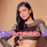 Shruti Haasan: ఆ విషయంలో సిగ్గెందుకు.. తేల్చి చెప్పిన  హాసన్ బ్యూటీ