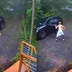 Viral Video: వామ్మో కారు నుంచి వింత శబ్దాలు.. డోర్ ఓపెన్ చేసి చూస్తే షాక్..