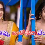 Sri Sathya: అవును.. తప్పు చేశాను.. చెత్త వాగుడు వాగొద్దు