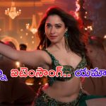 Tamannaah Bhatia: మిల్కీ బ్యూటీ అందాలను చూడడానికి అయినా ఆ సినిమాకు వస్తారు మావా..