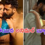 Tripti Dimri: పోర్న్ స్టార్ కన్నా దారుణం.. అనిమల్ బ్యూటీపై నెటిజన్స్ ఫైర్