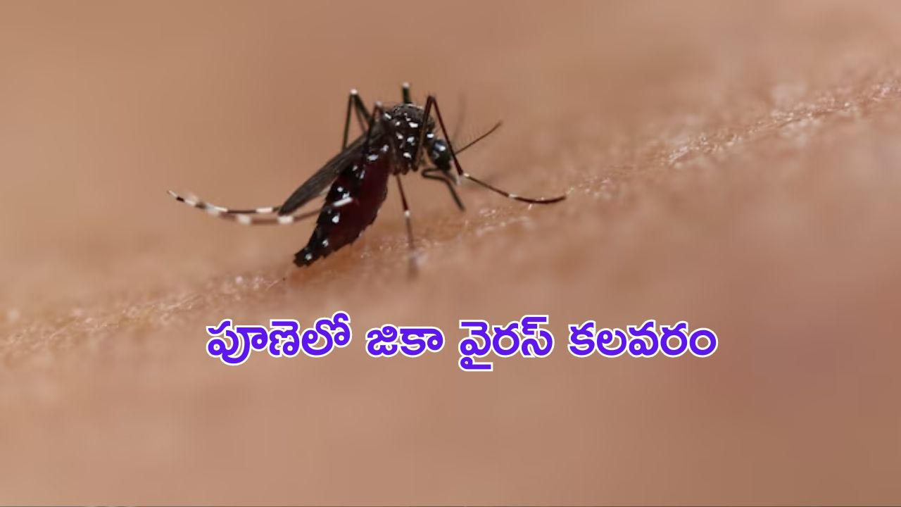 Bajaj CNG Bike Launch: జులై 5 లాంచ్ కానున్న ప్ప్రపంచపు తొలి సీఎన్‌జీ బైక్.. రిజిస్ట్రేషన్స్ ఓపెన్.. ధర ఎంతంటే..?