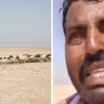 Kuwait Viral Video: కువైట్‌లో నరకం చూస్తున్న వ్యక్తి,కాపాడాలంటూ విజ్ఞప్తి..