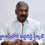 Madanapalle Files Burning Case: మదనపల్లె ఫైల్స్ కేసు.. అజ్ఞాతంలోకి పెద్దిరెడ్డి బ్యాచ్..?