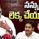 Alla Nani: నన్ను లెక్క చేయలేదు