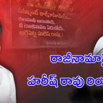 Harish Rao: రుణమాఫీ అమలు.. రాజీనామాపై హరీష్ రావు రియాక్షన్ ఇదే..