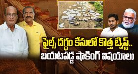 Alla Nani Joins Janasena: నన్ను పట్టించుకోలేదు.. జనసేన లో చేరికపై క్లారిటీ..