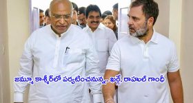 Pakistan Government: ఆ దేశంలో పిల్లుల పెంపకం కోసం  పార్లమెంట్ లో ఏకంగా రూ.12 లక్షల బడ్జెట్ కేటాయింపు?