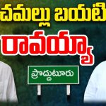 Rachamallu Siva Prasad Reddy: కేసుల భయం.. రాచమల్లు బయటికి రావయ్యా