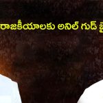 Anil Kumar Yadav: రాజకీయాలకు అనిల్ కుమార్ యాదవ్ గుడ్ బై?