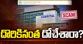 Fever : జ్వరం వస్తే బరువు తగ్గుతారా ? నిపుణులు ఏం చెబుతున్నారు?