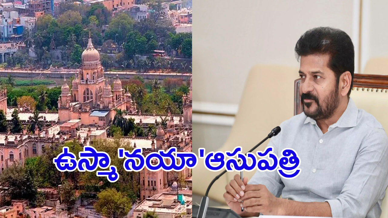AP Home Minister: చీరలోనే అమ్మతనం, కమ్మతనం..ఏపీ హోం మంత్రి అనిత