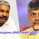 Peddireddy Ramachandra Reddy: చంద్రబాబు యాక్షన్ ప్లాన్.. టార్గెట్ పెద్దిరెడ్డి?
