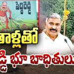 Peddireddy Ramachandra Reddy: వెల్లువలా పెద్దిరెడ్డి భూ బాధితులు.. ఉరితాళ్లతో నిరసనలు