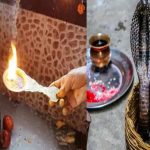 Nag Panchami 2024: నాగ పంచమి నాడు ఈ పరిహారాలు పాటిస్తే పితృ దోషం నుంచి విముక్తి పొందవచ్చు..