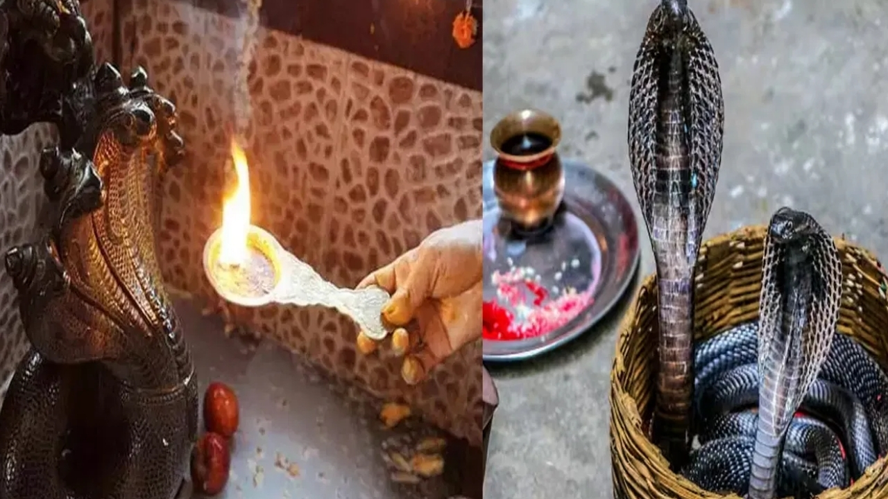 Nag Panchami 2024: నాగ పంచమి నాడు ఈ పరిహారాలు పాటిస్తే పితృ దోషం నుంచి విముక్తి పొందవచ్చు..