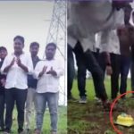 Shocking Video: నాగుపాము ముందు కేక్ కట్టింగ్ చేసిన ఆకతాయిలు.. మండిపడుతున్న నెటిజన్లు