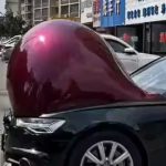 Viral Video: దేవుడా.. ఏంటి చైనాలో కార్లు ఇలా అయిపోయాయి..